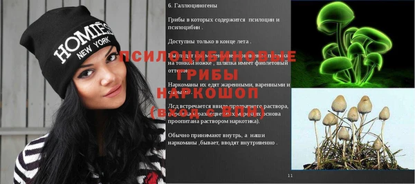 spice Арсеньев