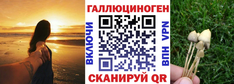 Галлюциногенные грибы Psilocybine cubensis  ссылка на мегу как войти  Мглин 