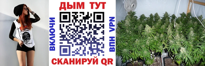 Каннабис ГИДРОПОН  mega ссылки  Мглин 